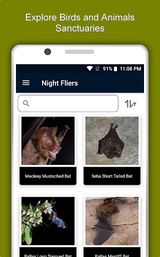 Jamaica Travel and Explore Offl