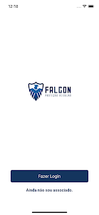 Falcon Proteção Veicular