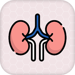 Icon image Renal Physiology Kidney Diseas