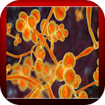 Cover Image of Tải xuống Candida auris  APK