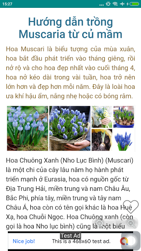 Kỹ Thuật Trồng Hoa Đẹp Sắc Màu