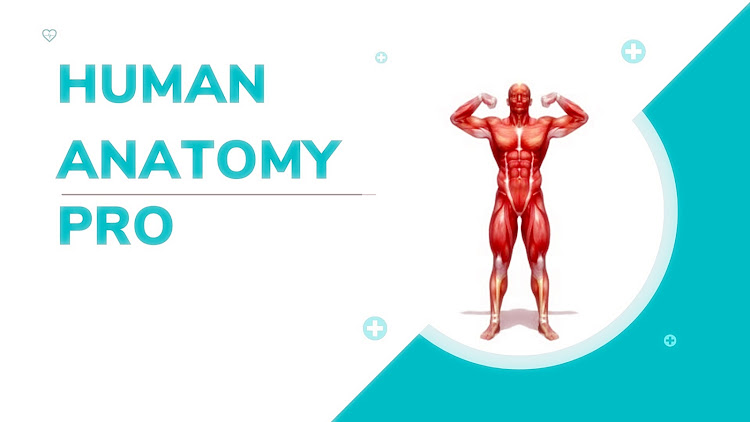 Human Anatomy Pro - 1.0 - (Android)