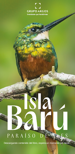 Android application Isla Barú Paraíso de Aves screenshort