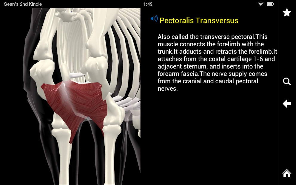 Screenshot 14 Horse Anatomy: Equine 3D android