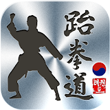 Taekwondo Poomsae Master Black icon