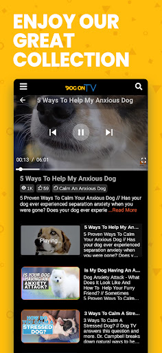 Screenshot of Dog TV