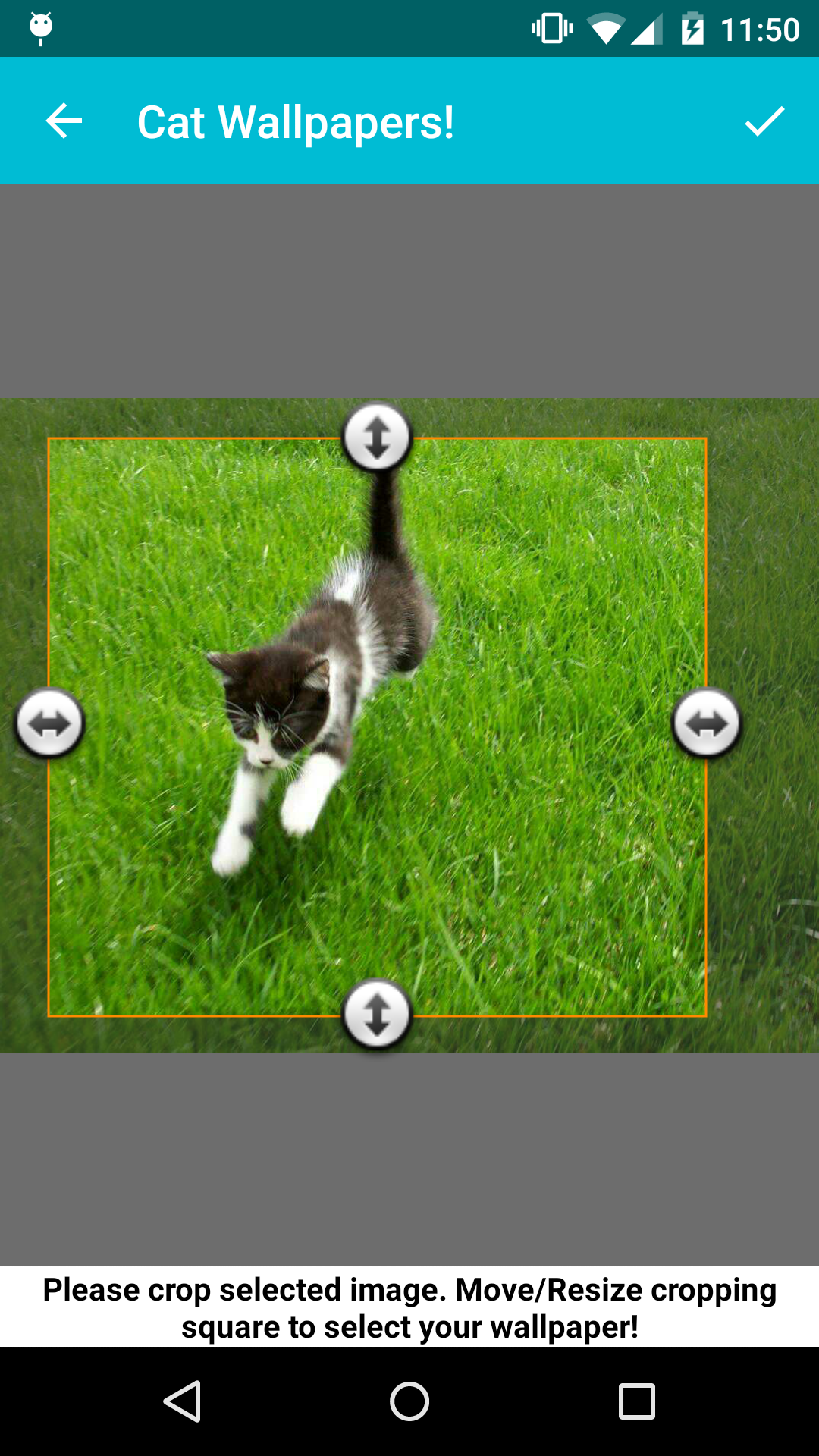 Android application Cat Wallpapers! screenshort