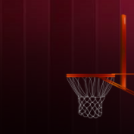 SLAM DUNK BASKETBALL