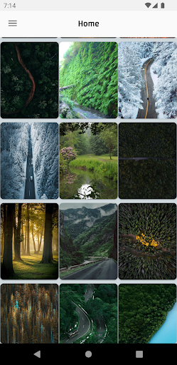 Forests Wallpapers HD Offline