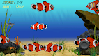 screenshot of Fish Frenzy (Angry Fish)