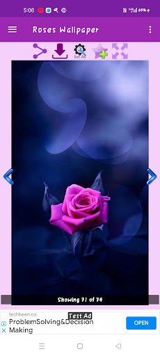 Roses Gallery Screen 3