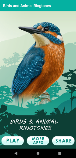 Android application Birds & Animal Ring Tones screenshort