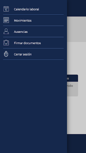 Registro Horario Lae Consultin Screen 3