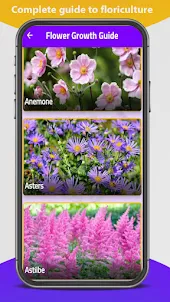 plant identifier app - flowers