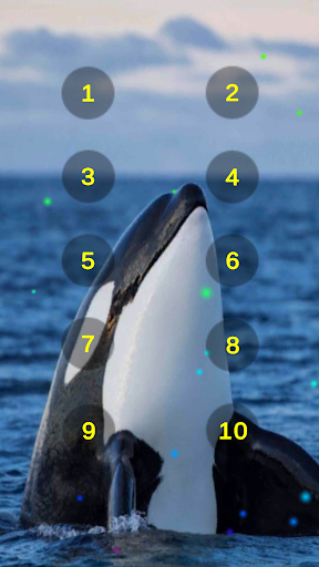 Orca Whale Sounds Soundboard Screen 2