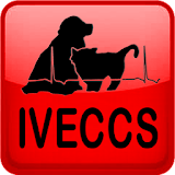 IVECCS 2017 icon