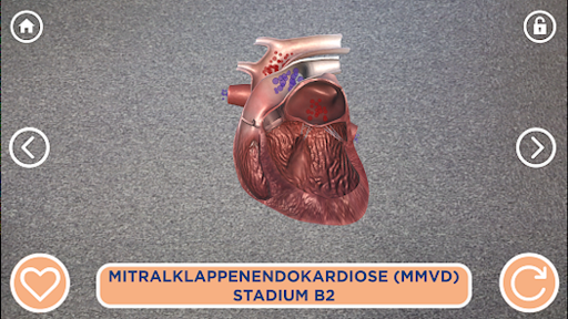 Android application Vetmedin 3D Cardio screenshort