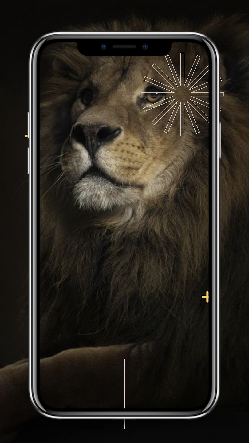 Tải hình nền sư tử App trên PC với giả lập - LDPlayer