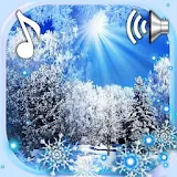 Snow n Sun Live Wallpaper icon