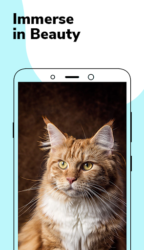 Cute Maine Coon Wallpapers Screen 3
