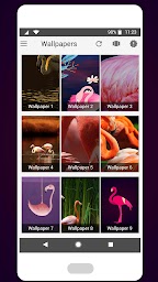 Flamingo Icon Pack