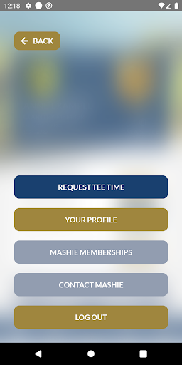 MASHIE Screen 2