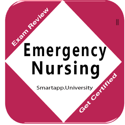Emergency Nursing: Concepts, N 1.0 Icon