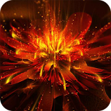 Red flower Live Wallpaper icon