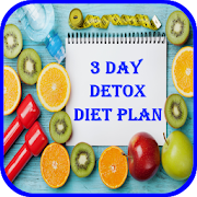 3 Day Detox Day Plan