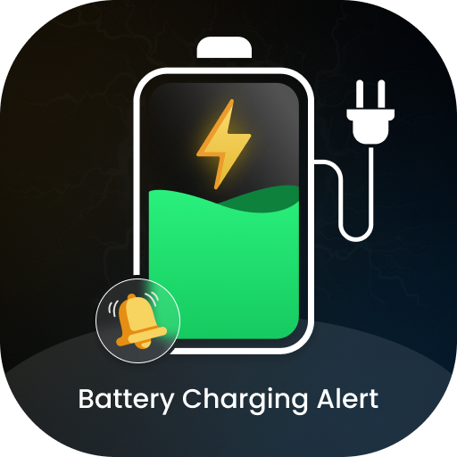 Battery Sound Alert Alarm