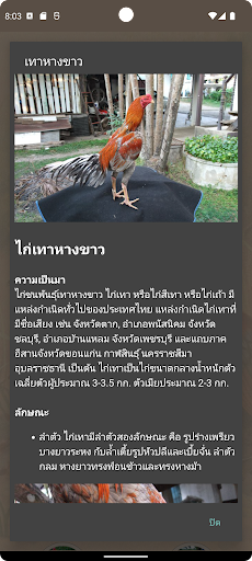 Logo https://play-lh.googleusercontent.com/khtS8fSaPy_tbHPLpewYroWqhmAZh4B9l_6Di4lcfxyPyVFF5uhQN7rm05272qdOxIpB