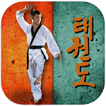 Cover Image of Unduh Taekwondo Pro  APK