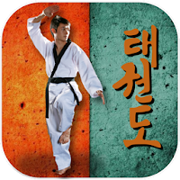 Taekwondo Pro