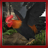 Roosters 3D Simulation icon