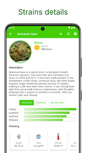 Logo https://play-lh.googleusercontent.com/kiaa6Lk8YcK5n4FO_BN7RP5iboB5JGulj6MNQHXFwgYg2OGVRa1glVWwiL6c3o7aGhM