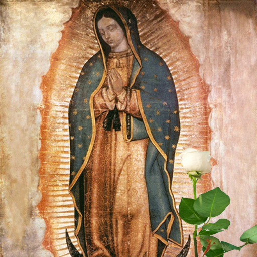La Rosa De Guadalupe Pictures