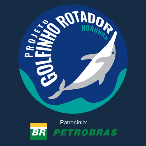 Conheça Noronha logo