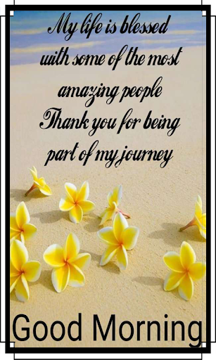 Good Morning Status Pro Screen 2