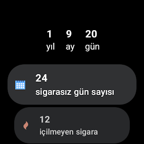 Ekran görüntüsü resmi