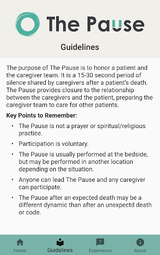 The Pause Screen 2