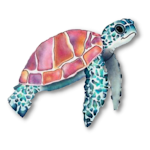Cover Image of Télécharger Tuga the Turtle 1.0 APK