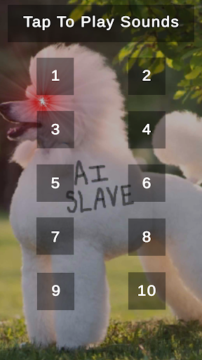 Android application Poodle Shih Tzu Barking Sounds screenshort