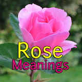 Rose Meanings icon