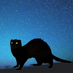 Imagen de ícono de Ferret - cámara de noche