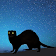 Ferret Night Camera icon