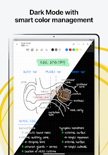 Nebo Notes & PDF Annotations MOD APK (Paid/Full) 9