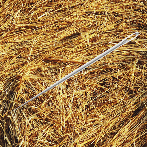 a needle in a haystack logo