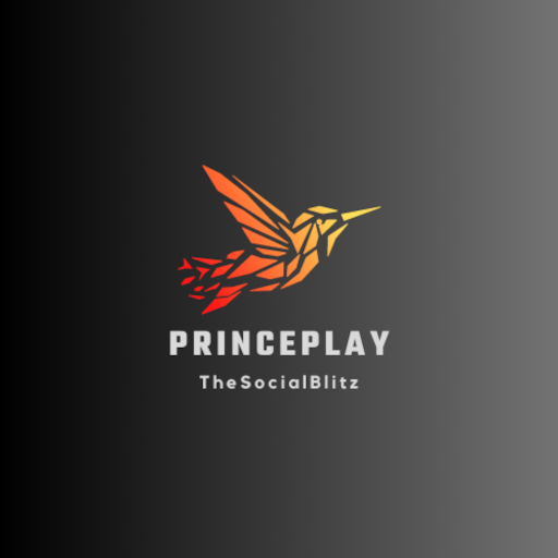 Prince Play | Earn With Skills logo