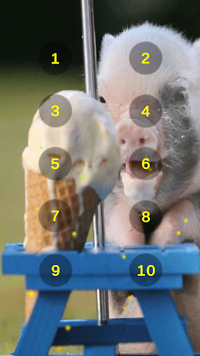Android application Pig Oink Livestock Soundboard screenshort