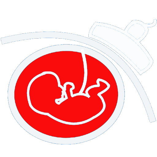 Pregnancy Age Calculator logo